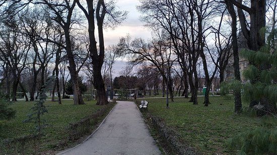 Parcul Botanic din Timișoara
